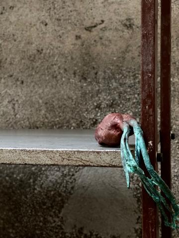 Sofie muller, galerie Italienne, movement of the heart