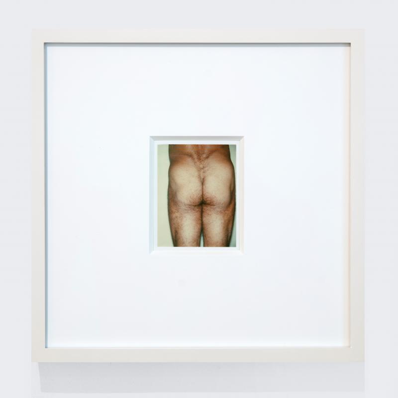 Andy Warhol, Torso, #AW76.002, galerie italienne