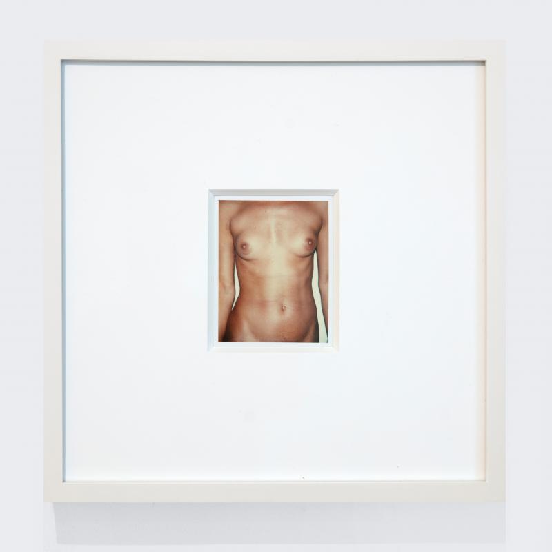 Andy Warhol, AW77.010 Torso, galerie italienne